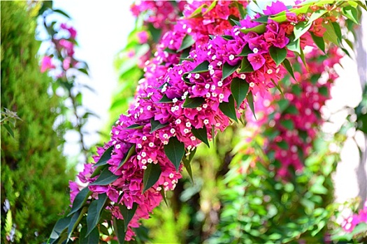 chơi lô đề hiệu quả