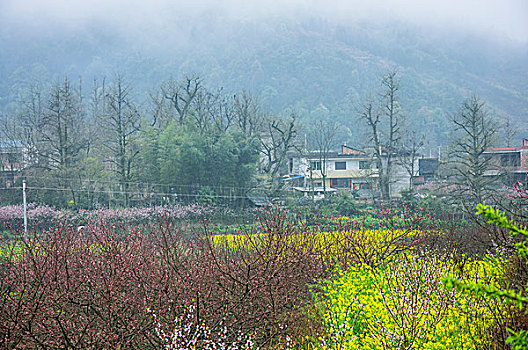 du doan cau lo