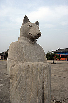 soi cau truc tuyen