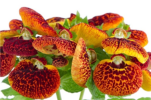 dự đoán số đề hôm nay
