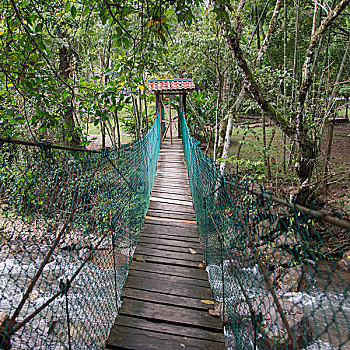 soi câu 336