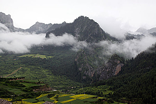 kết quả xổ số an giang