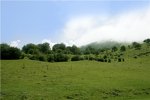 du doan de hom nay